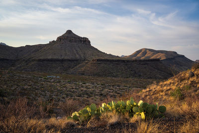 Scenic mountain and desert landscape view of sunrise in big bend national park, texas