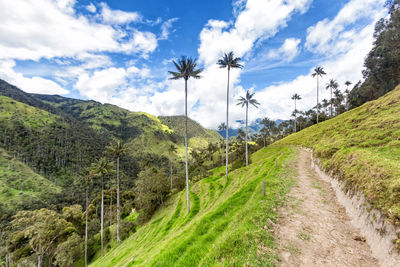 Panoramic view of green landscape against sky