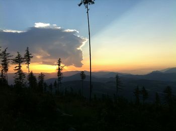 Scenic view of landscape at sunset