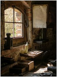 View of a bird on table