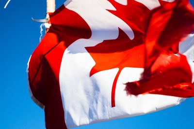 Low angle view of maple leaf against blue sky