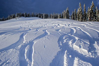 Snow covered field with ski tracks