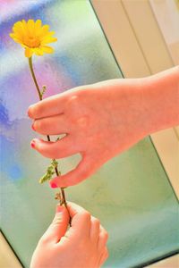 Close-up of woman hand holding red flower