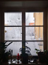 Potted plants on table by window of building