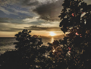 Silhouette trees by sea against sky during sunset