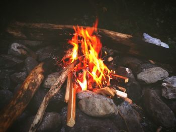Bonfire on wooden log