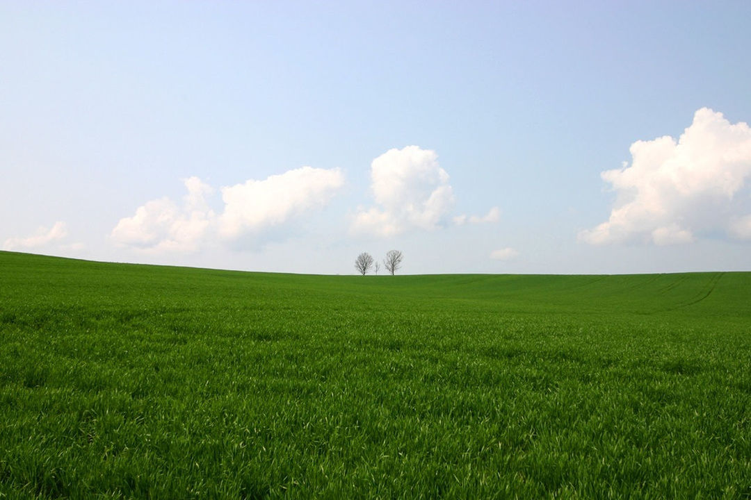 grass, field, landscape, sky, grassy, tranquil scene, tranquility, green color, scenics, beauty in nature, nature, cloud - sky, rural scene, cloud, agriculture, growth, horizon over land, meadow, farm, green