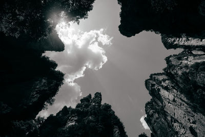 Low angle view of silhouette trees against sky