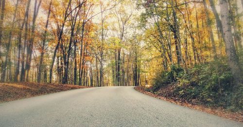 Road amidst trees in forest during autumn