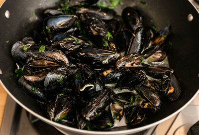 High angle view of mussels in container