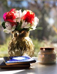 Close-up of roses in vase on table