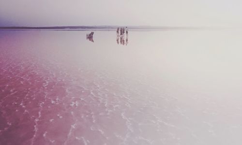 Reflection of trees in calm sea