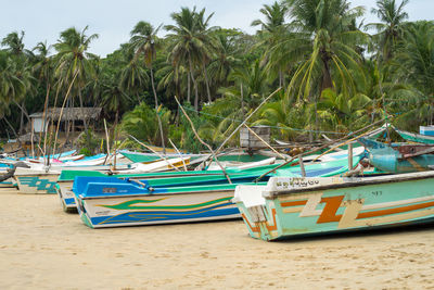 Boat moored on beach
