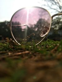 Reflection of grass in water