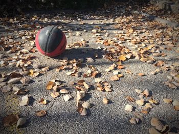 Close-up of a ball