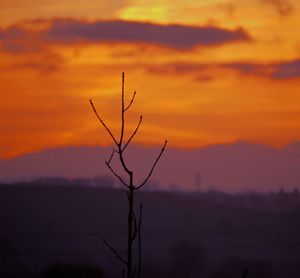 Scenic view of landscape at sunset