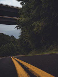 Road by trees against sky in city