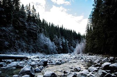 Stream flowing through rocks