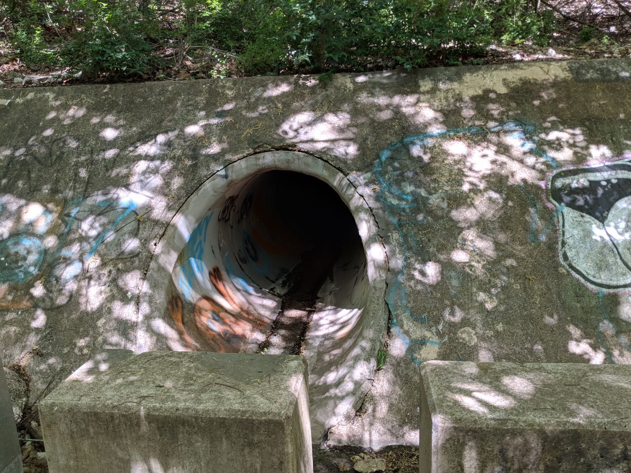 HIGH ANGLE VIEW OF HOLE ON TREE IN YARD