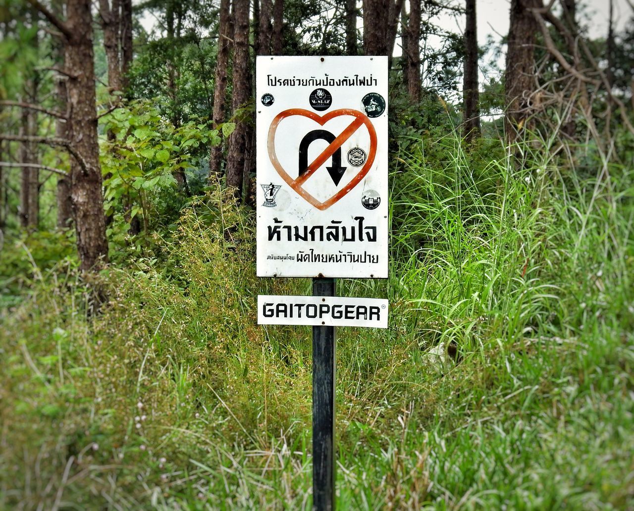 CLOSE-UP OF SIGN ON TREE TRUNK