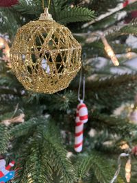 Close-up of christmas tree