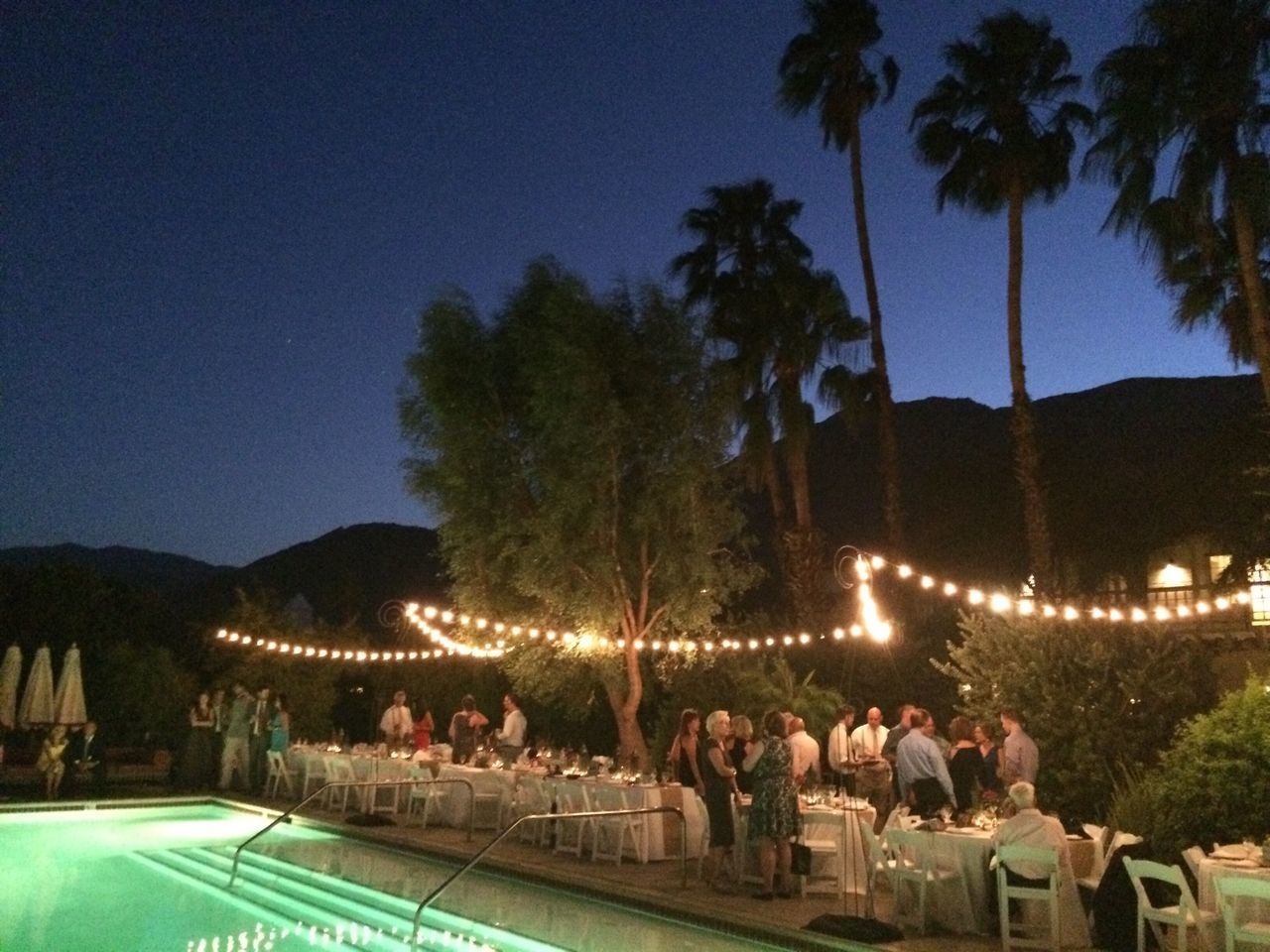 tree, illuminated, clear sky, night, palm tree, built structure, architecture, building exterior, sky, travel destinations, copy space, blue, outdoors, large group of people, tourism, dusk, nature, travel, water, vacations