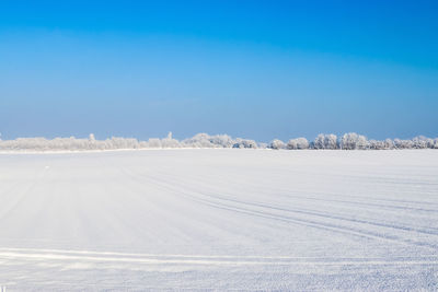 A white snow-covered piece of farmland in winter on a sunny day