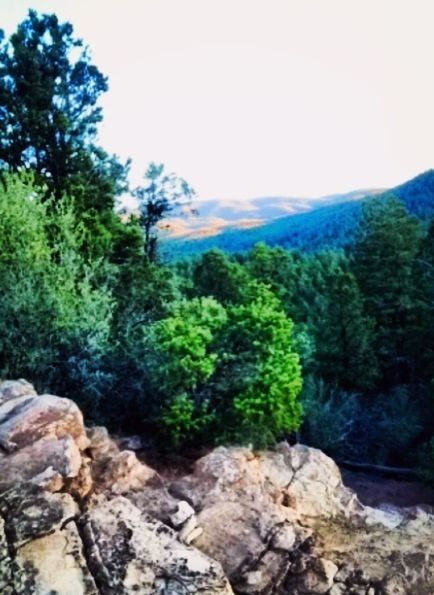 tree, rock - object, growth, tranquility, beauty in nature, nature, tranquil scene, green color, scenics, mountain, clear sky, rock, rock formation, plant, forest, green, non-urban scene, sky, day, moss