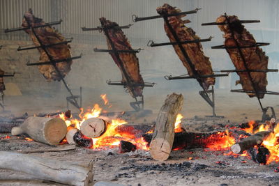 Bonfire on wooden log
