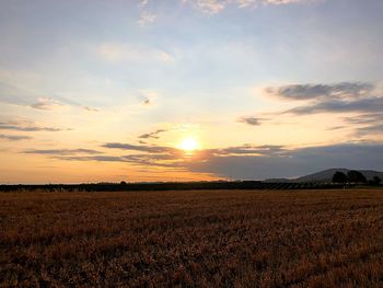 Scenic view of field against sky during sunset