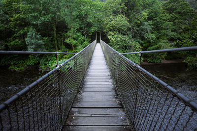 Footbridge amidst trees in forest