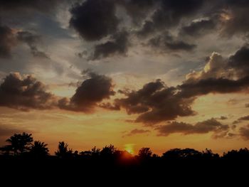 Silhouette trees against dramatic sky during sunset