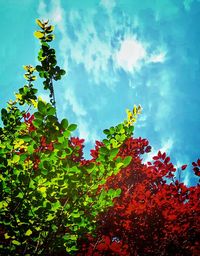 Low angle view of flowering plant against sky