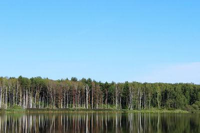 Scenic view of calm lake against clear sky