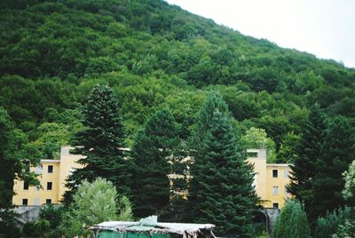 Trees and houses on mountain against sky