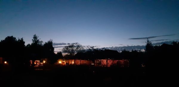 Silhouette trees by illuminated building against sky at night