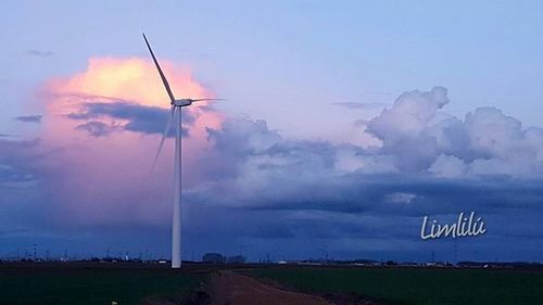 Wind turbines on field