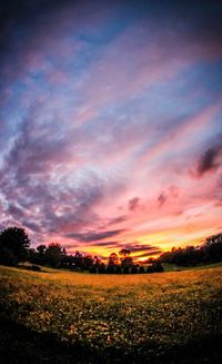 Scenic view of field against sky at sunset