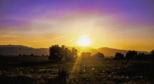 Sunset over field