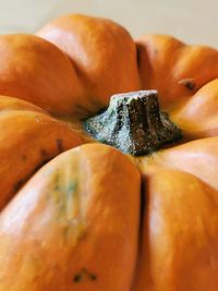 Close-up of pumpkin on table