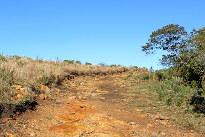 Scenic view of field against clear blue sky