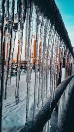 Close-up of frozen wooden posts in winter