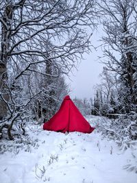 Tent on snow covered field and bare trees in forest