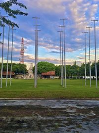 Trees on field against sky