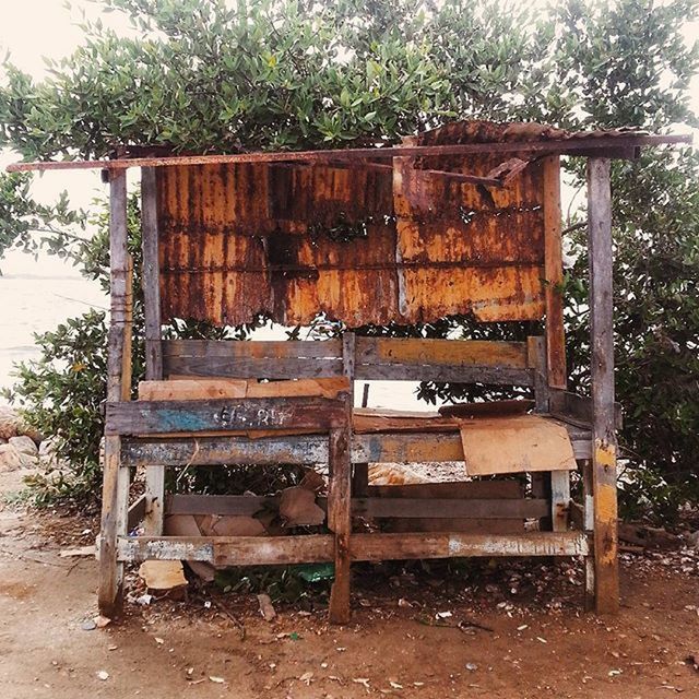 abandoned, tree, built structure, wood - material, architecture, building exterior, house, obsolete, old, run-down, damaged, deterioration, weathered, wooden, day, door, bench, outdoors, absence, bad condition