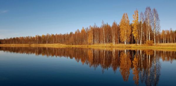 Scenic view of lake by trees against clear sky