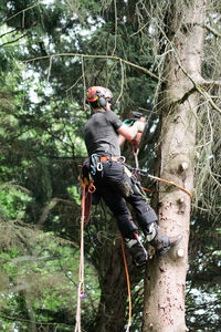 Man with arms raised in forest