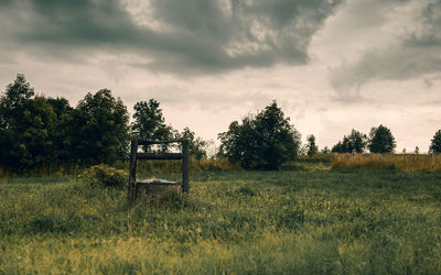 Trees on field against sky