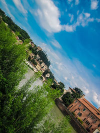 View of trees on landscape against cloudy sky