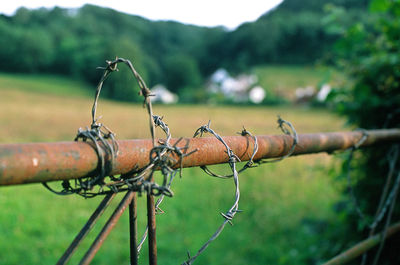 Close-up of barbed wire fence on field